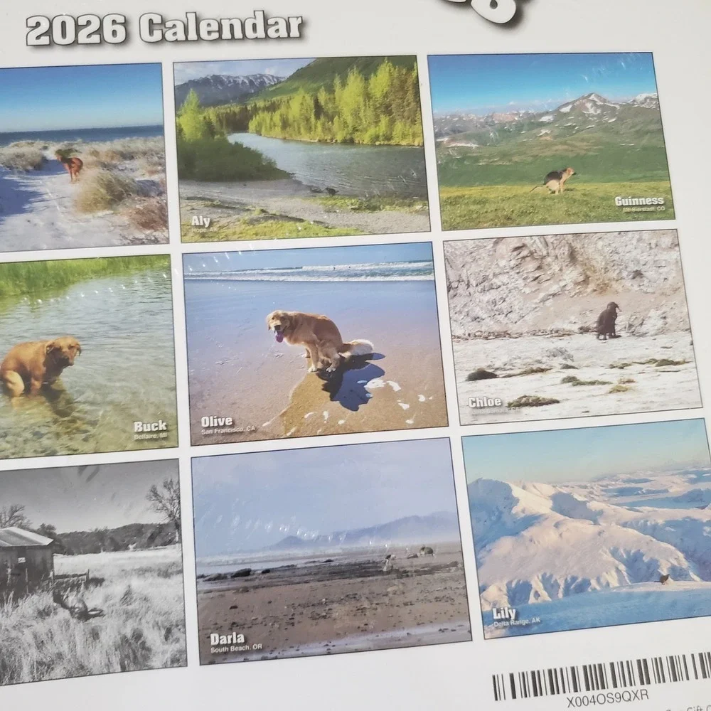 Pooping Pooches 2026 Wall Calendar Funny Dog Gag Gift White Elephant Humor